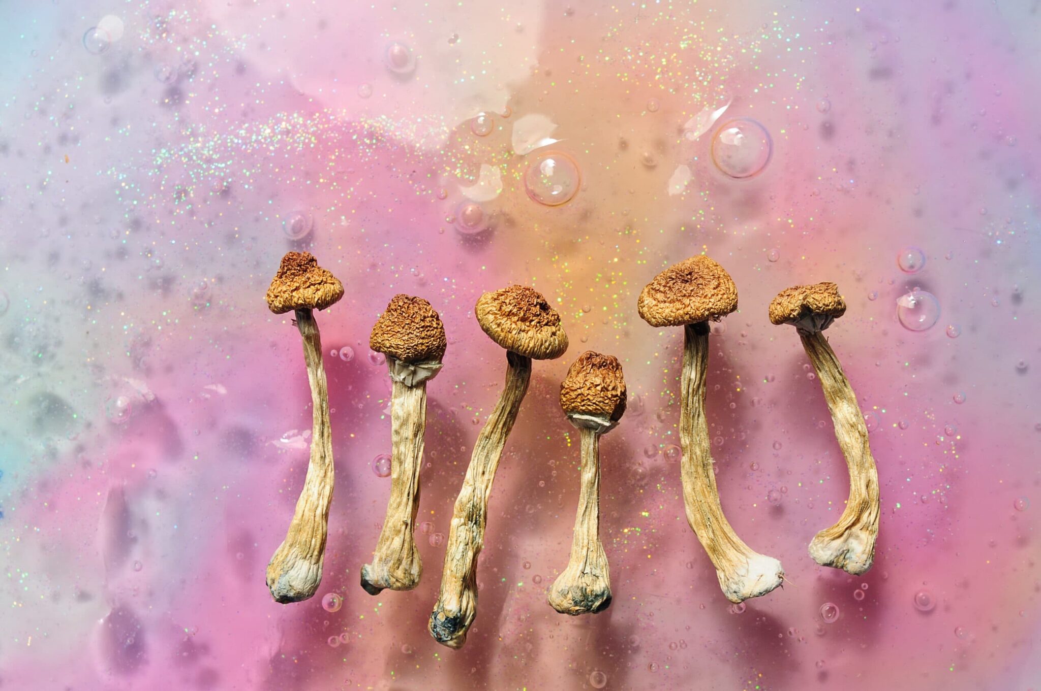 do-psilocybin-mushrooms-work-best-on-an-empty-stomach-sta-assoc